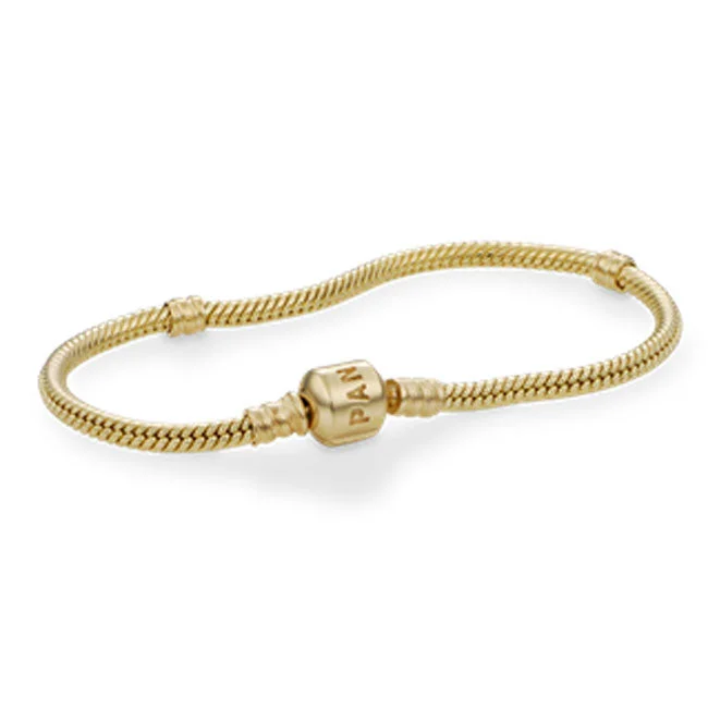 Chamm Bracelets for womenPandora 14K Gold Moments Bracelet