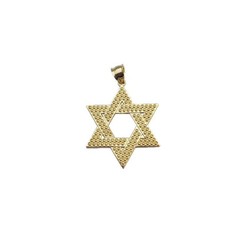 18K Gold - Plated Angel Wing Pendant for a Symbolic and Elegant AccessoryStar of David Pendant (14K)